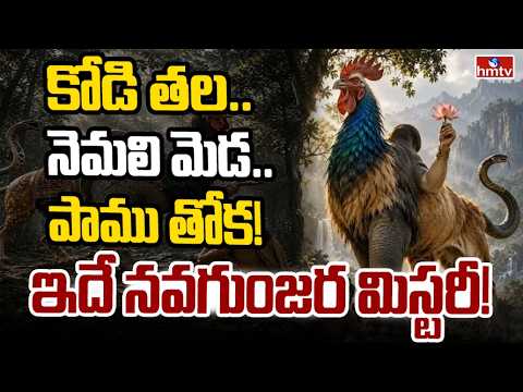 TO THE POINT : కోడి తల.. నెమలి మెడ.. పాము తోక! ఇదే నవగుంజర మిస్టరీ! | hmtv - HMTVNEWS
