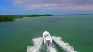 Turneffe Flats Fly Fishing