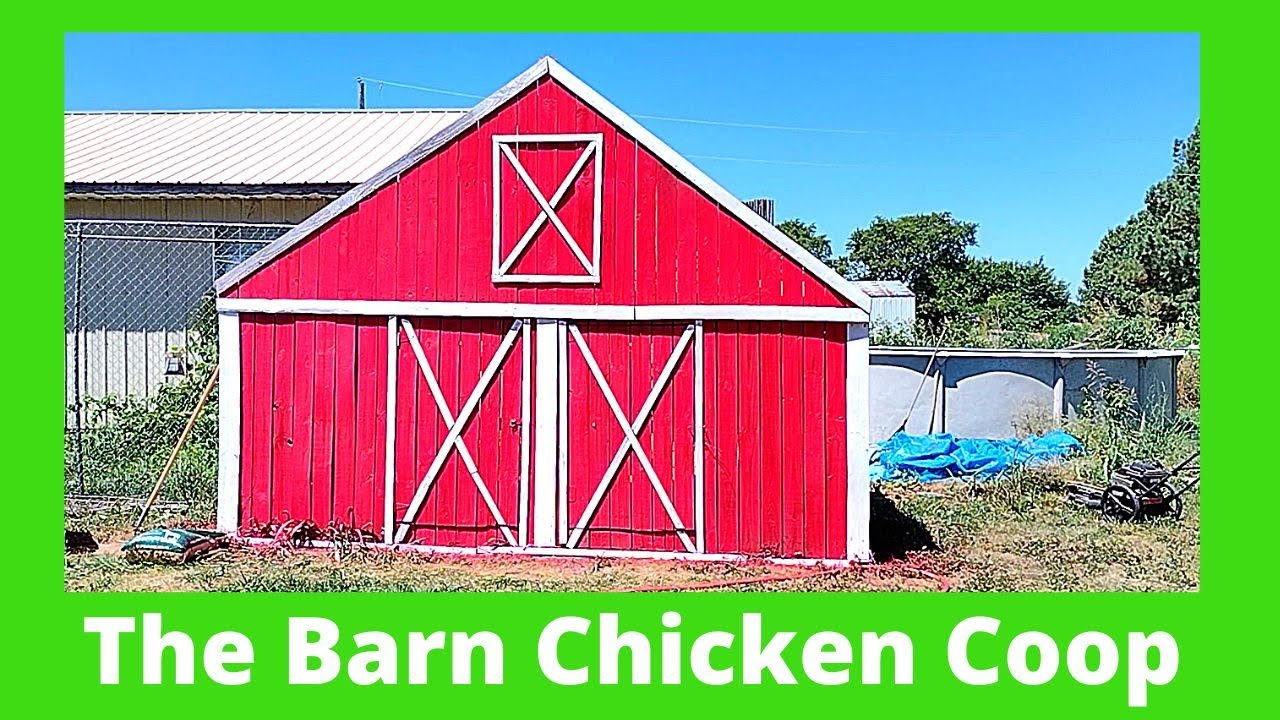 Building A Chicken Coop Using Recycled Materials