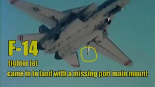 A Look Back: The 1973 F-14 Incident at Miramar | Wings Series