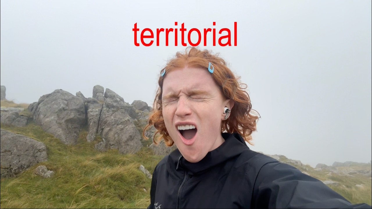 Territorial (lyric video) - Michael Aldag adlı videoyu YouTube'da izle Territorial (lyric video) - Michael Aldag adlı videoyu YouTube'da izle