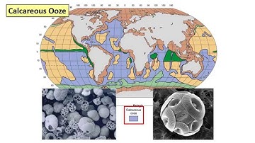 13 - Deep sea sediments