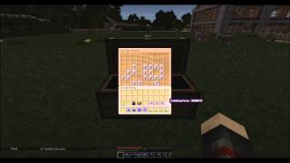 Server Features: Chest Sorting