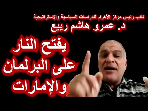 د عمرو هاشم ربيع الانتخابات زائفة والدور الإماراتي مشبوه