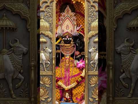 જય હો રણછોડ🦚