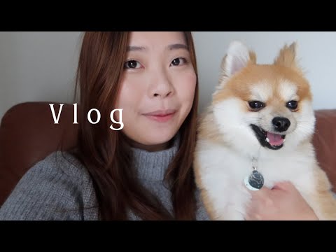 Living Alone Diaries l Apple Picking, Late Halloween Vlog, Dog treat or trick and Trunk or Treat