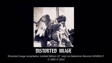 Distorted Image - Our Despair