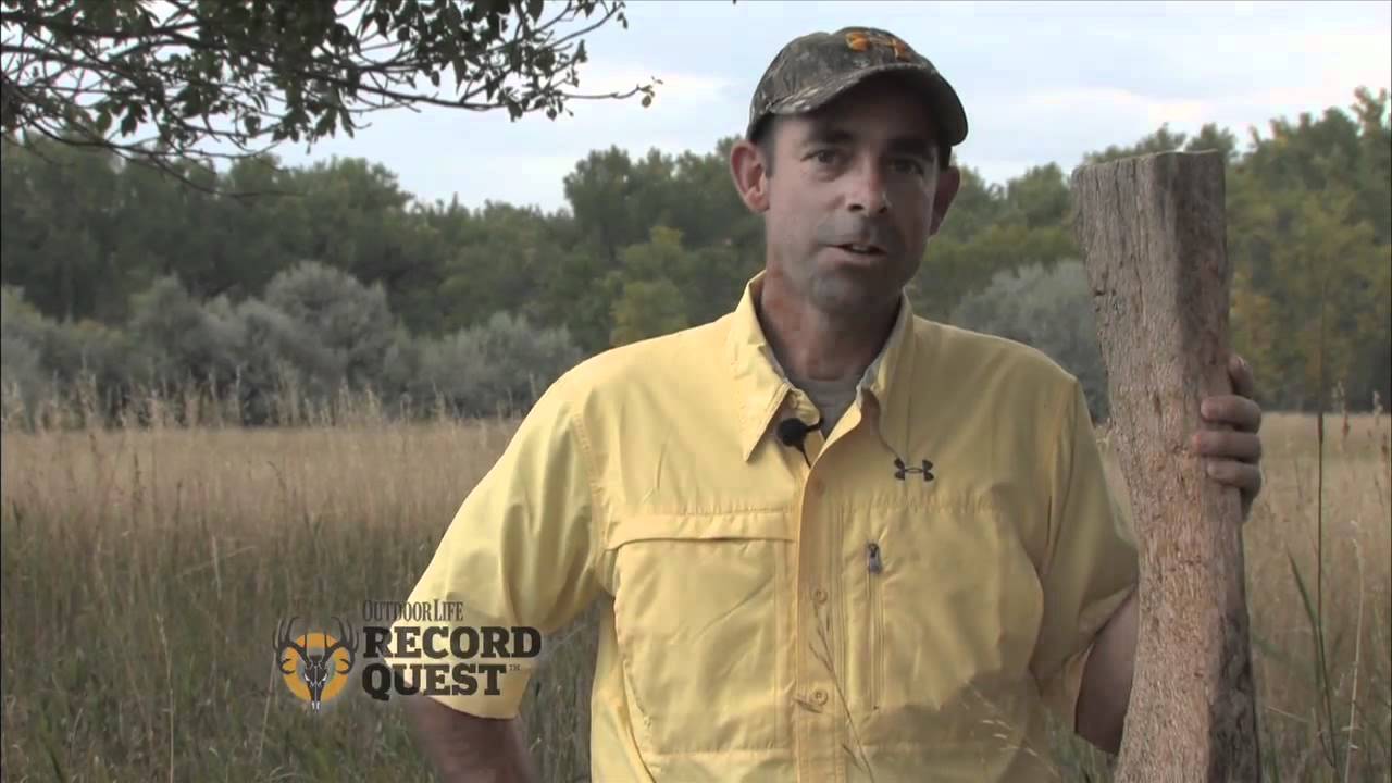 Record Quest: Recognizing Scrapes and Rubs