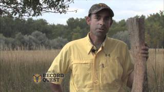 Record Quest: Recognizing Scrapes and Rubs