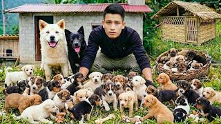 100 Days of Trieu Neymar Farm Life – Raising Adorable Puppies, Traditional Cooking & Giant Harvests screenshot 5