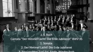 J. S. Bach - Cantata "Der Himmel Lacht! Die Erde Jubilieret" BWV 31 (1/3)