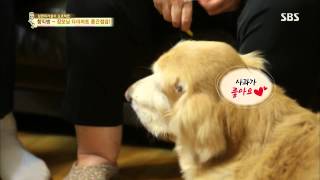 백년손님-자기야 20131003 #38(10)