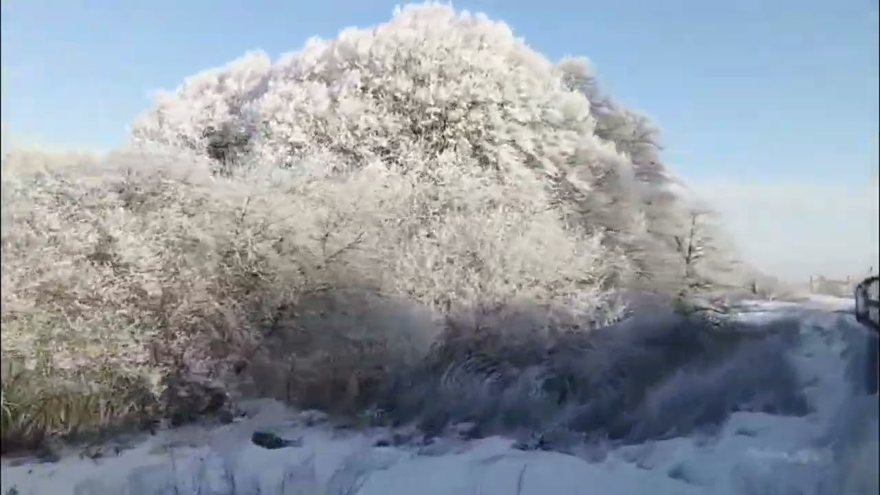 Przejazd TLK Flisak + Maksymilianowo