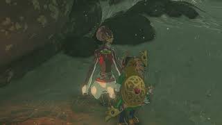 The Legend of Zelda Tears of The Kingdom Part 18 Finally Making Story Progress