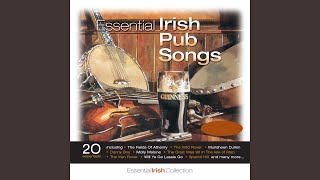 Galway Girl