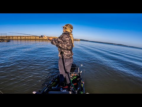 Vídeo: Há jacarés no lago eufaula alabama?