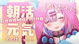 【朝活】今日も頑張る君へ...!癒しと元気をとどけます…