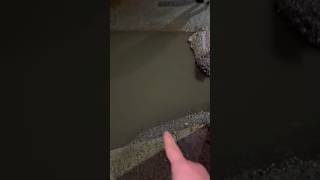 Orda Kaldı Elif Şfetbeniöneçıkar