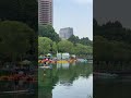 How do people relax in Beijing #china #activity #river #shorts