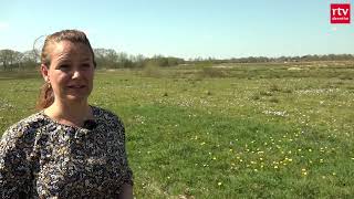 Bloemrijke Graslanden Dankzij Uitmijnen Landbouwgrond