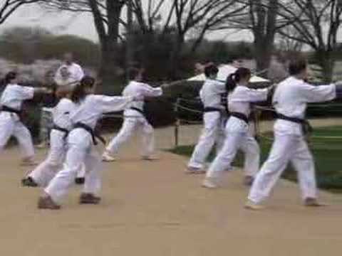 2007 Seichou Karate Cherry Blossom Demo
