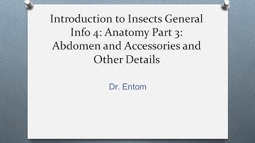 Introduction to Insects General Info 4 part 3