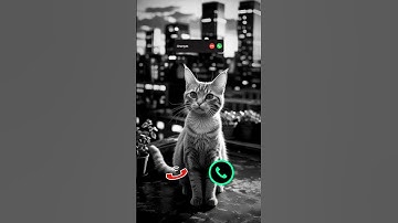 cat is calling#ringtone #smartphone #music #ringtones #song #iphone #cat #callm #iphoneringtone #yt