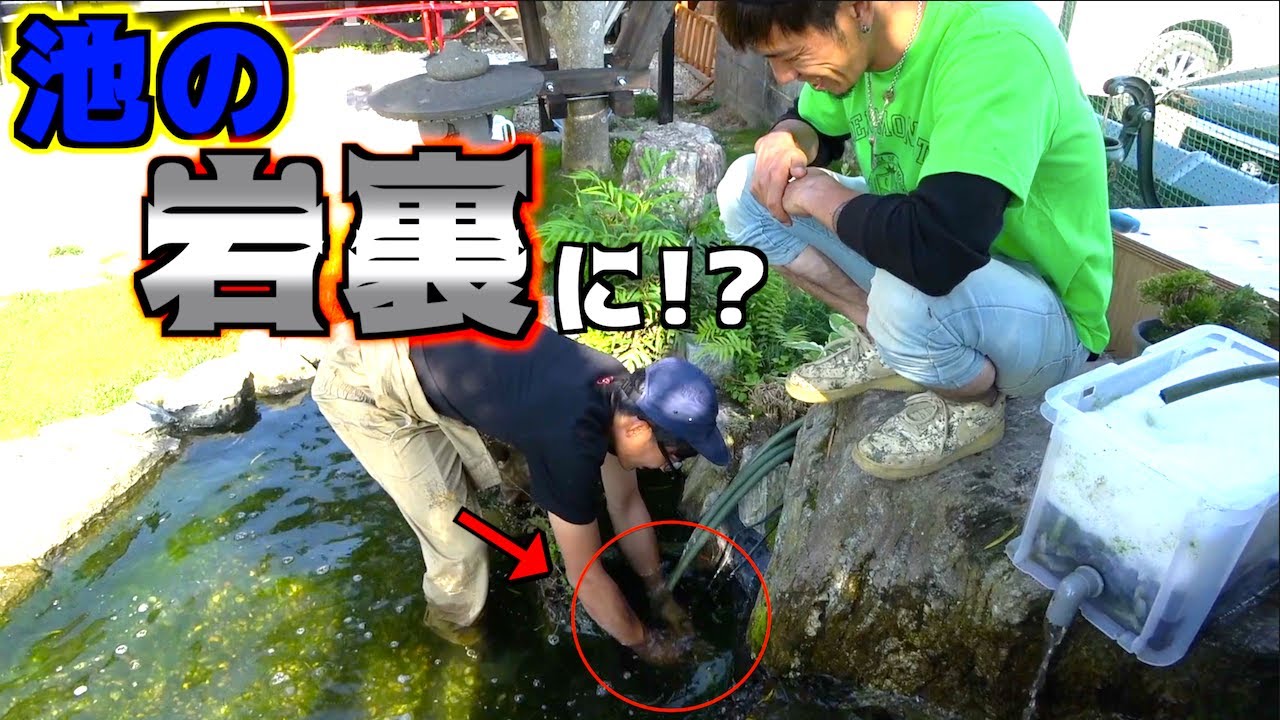 池のある庭ってこんなに〇〇なの！？