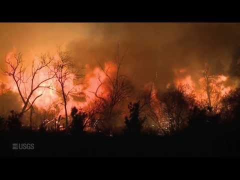Vídeo: Os incêndios na Califórnia podem ser evitados?