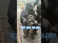 #한국힐링대학교 #한국웰다잉협회 #한국시니어모델협회 #힐링마켓 #힐링강사양성국내1위 #인생2막 #100세현역