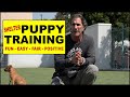 Puppy Training at the Shelter  - The First Things to Teach a Puppy