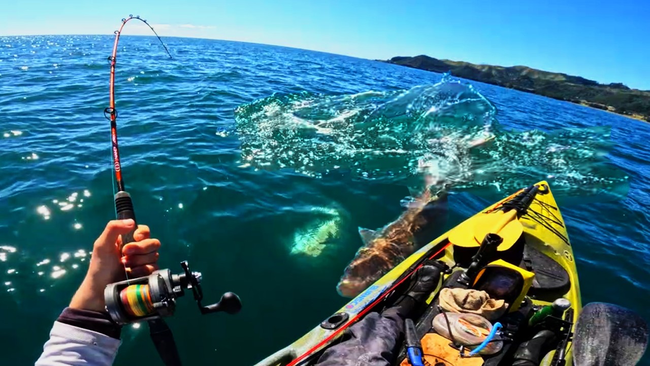 Это прокормило сообщество?! (Безумная рыбалка)