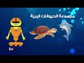 التنفس عند الحيوانات Ryboo إسأل ريبو 