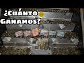 Metiendo 100 Monedas Al Mismo Tiempo En La Maquina De Cascada!! *Tiramos Los Billetes*