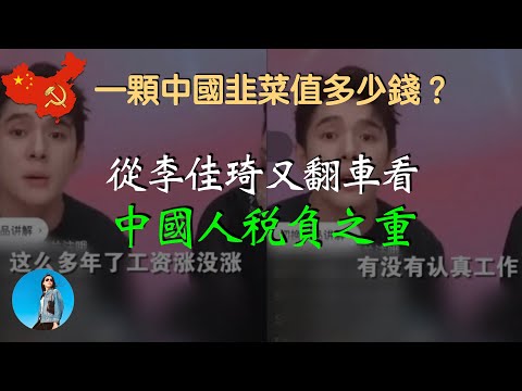 李佳琦刺痛中國底層。中國人稅負遠超美國、日本和台灣，實為負福利國家｜米國路邊社 [20230911#473]