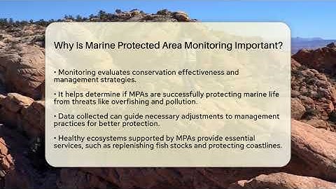 Why Is Marine Protected Area Monitoring Important? - Ecosystem Essentials