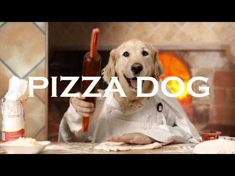 Pizza Dog