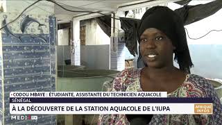 Sénégal : à la découverte de la station aquacole de l´IUPA