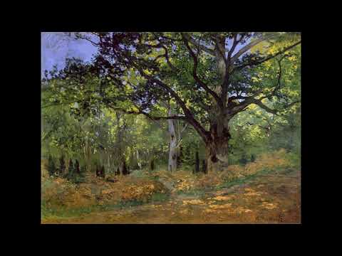 ტყეს, რომელიც მიყვარს, ლია სტურუა ქართულად და ფრანგულად Lia Sturua en géorgien et en français