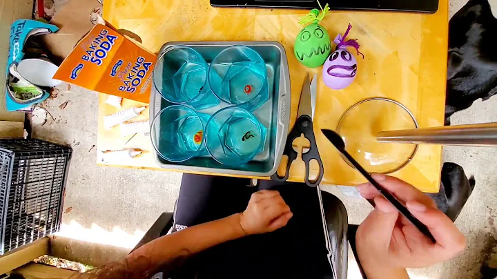 Mini Volcanoes with Ms. Kendra from McBee