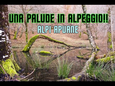 Video: Parco Delle Pietre Sulla Montagna Più Antica Della Terra, Che è Nella Regione Di Azov - Visualizzazione Alternativa