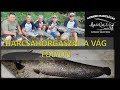 Vadvízi Harcsahorgászat a Vág folyón - Wild River Catfishing at Vág (MysticatTeam Modern Catfishing)