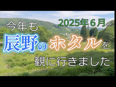 【2025年6月】今年も辰野のホタルを観に行きました　｜長野県｜辰野町｜辰野ほたる童謡公園｜約4500匹｜ゲンジホタル｜松尾峡｜信州辰野ほたる祭り｜