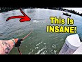 Unbelievable What I Found Underwater In River While Magnet Fishing! (INSANE)