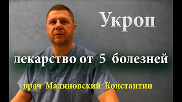 Пил укропную воду утром и на ночь. Вылечил 5 болезней и избавился от паразитов