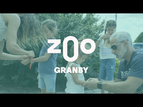 Connect&GO X Zoo de Granby