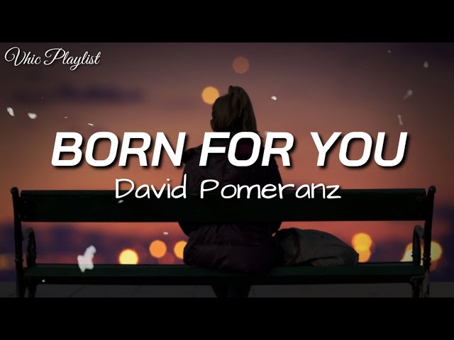 Born For You - David Pomeranz (Lyrics) class=