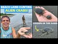 HUNTING ALIEN CRABS ON THE BEACH - Our Land In The Philippines (Davao Home Life)