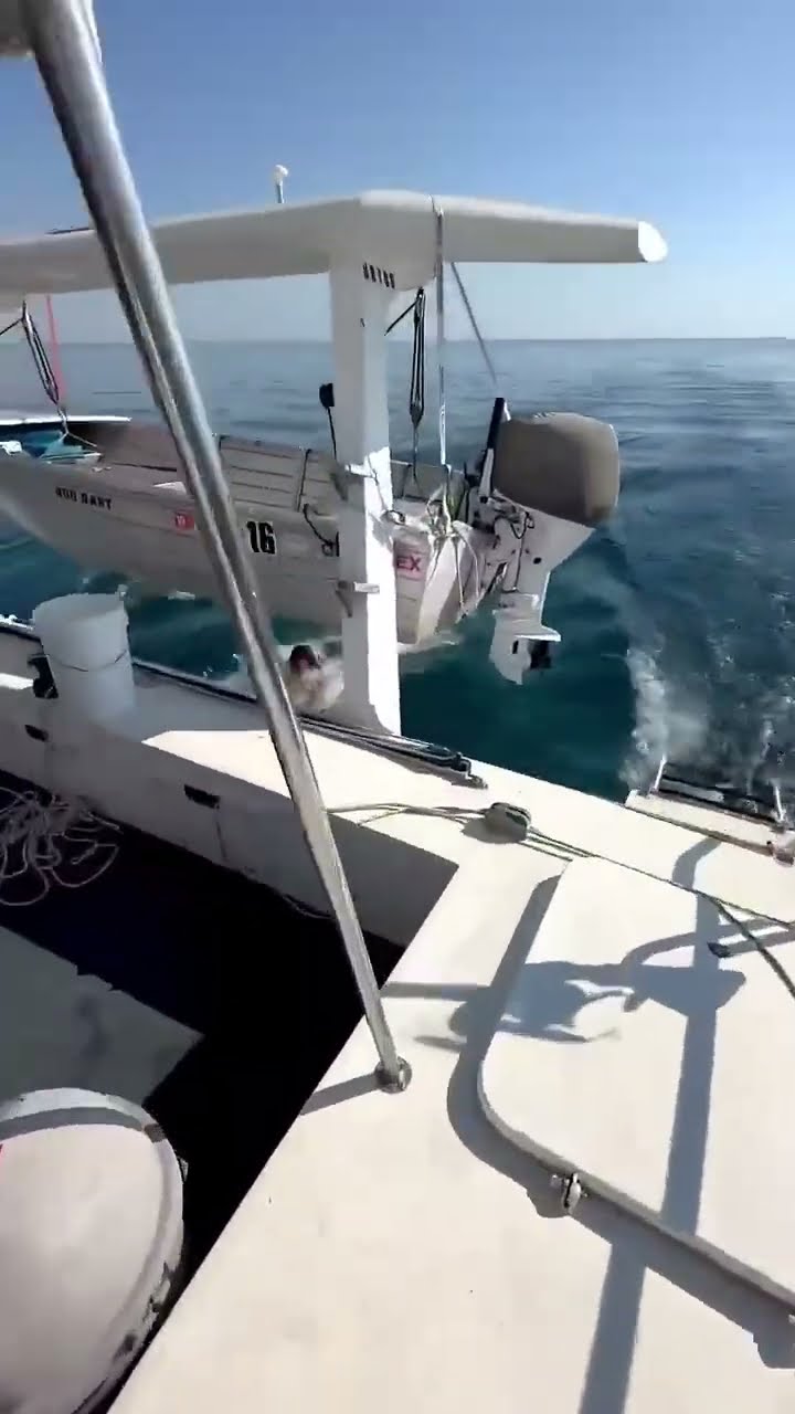 #JasonDeruloTV // Wow ???#GotPermissionToPost From @Sailing_KALLI  #SlowLow