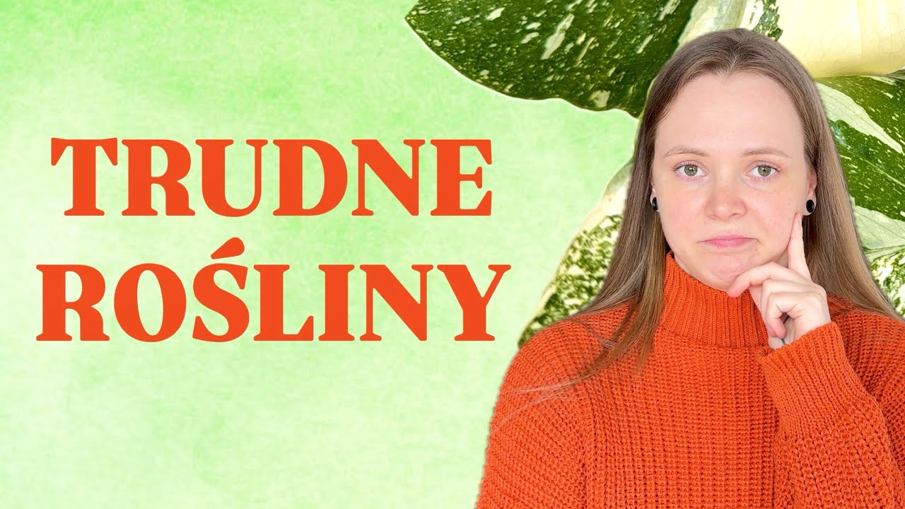 10 TRUDNYCH ROŚLIN, które kupiłabym ponownie 